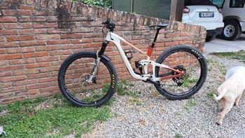 Used Giant Trance Shimano Deore XT 2024 Mountainbike — image 2 of 5