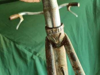 Bianchi Selvino 1951 Frameset 2026 Urban d'occasion — image 19 sur 20