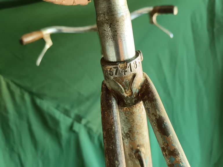 Bianchi Selvino 1951 Frameset 2026 Urban d'occasion — image 19 sur 20