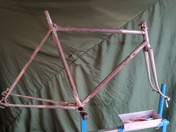 Bianchi, Bianchi Selvino 1951 Frameset