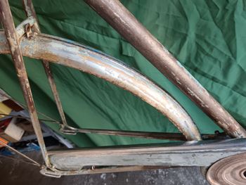 Bianchi Selvino 1951 Frameset 2026 Urban d'occasion — image 16 sur 20