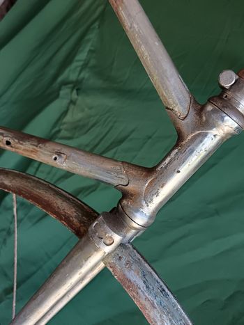 Bianchi Selvino 1951 Frameset 2026 Urban d'occasion — image 20 sur 20