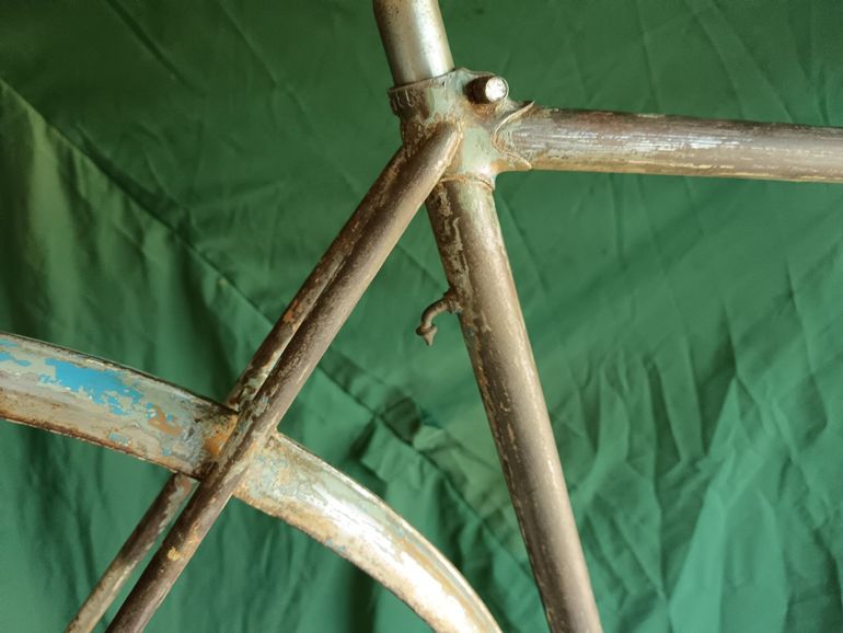 Bianchi Selvino 1951 Frameset 2026 Urban d'occasion — image 10 sur 20