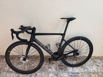 Megamo, PULSE ELITE 03 2021