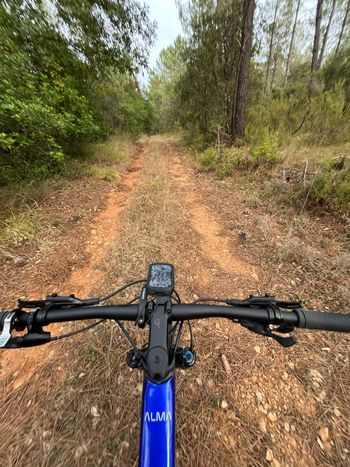 Used Orbea Orbea Alma 2025 2025 Mountainbike, Blue — image 4 of 4