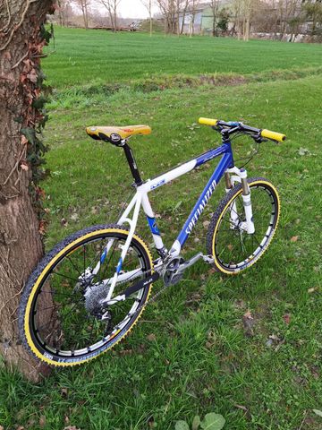 Specialized Stumpjumper M4 Comp 2001 Mountainbike usato, Blu — immagine 4 di 4