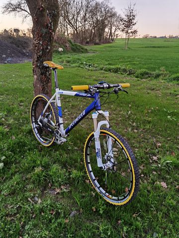 Specialized Stumpjumper M4 Comp 2001 Mountainbike usato, Blu — immagine 3 di 4