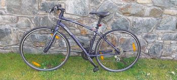Specialized, Vita 2017