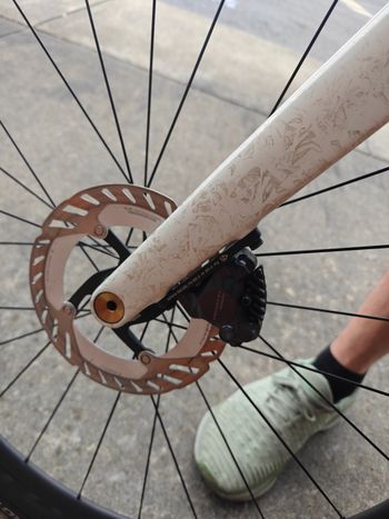 Used Trek Madone SLR 7 Gen 8 2025 2025 Road & Gravel, White — image 7 of 7