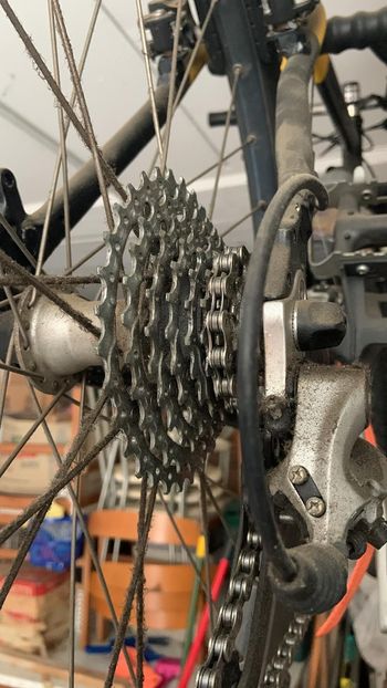 Used IS Passoni Coppia Di Bici Artigianali PASSONI (per Qualsiasi Altra Info Dm) 2005 Mountainbike, Rojo — image 12 of 12