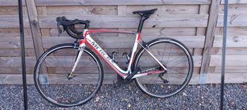 Eddy Merckx, SanRemo76 — Shimano Ultegra+ 2019