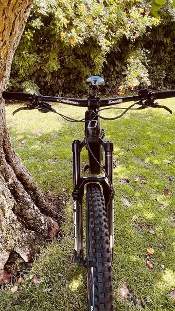 Used Olimpia Murdok E-MTB 2024 Mountainbike, Black — image 12 of 20