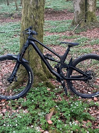 Used Canyon Torque AL 6.0 2020 2020 Mountainbike, Schwarz, 27.5 — image 4 of 7