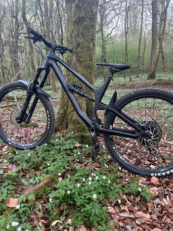 Used Canyon Torque AL 6.0 2020 2020 Mountainbike, Schwarz, 27.5 — image 2 of 7
