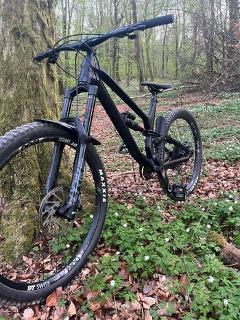 Used Canyon Torque AL 6.0 2020 2020 Mountainbike, Schwarz, 27.5 — image 3 of 7