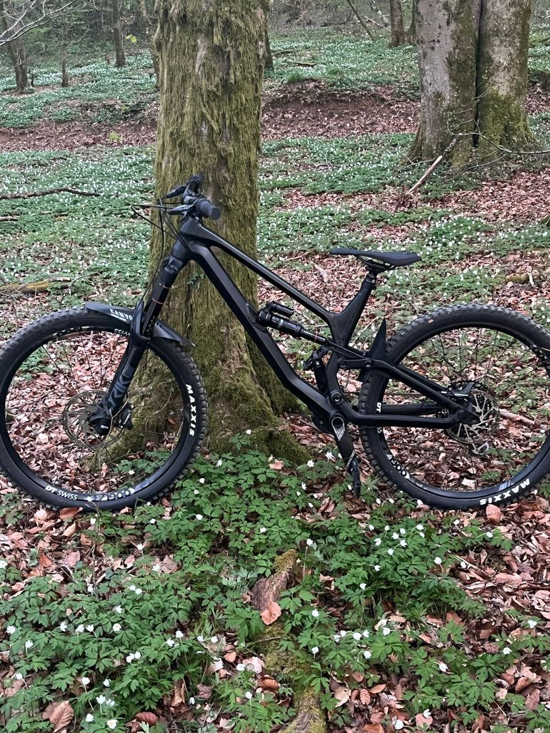 Used Canyon Torque AL 6.0 2020 2020 Mountainbike, Schwarz, 27.5 — image 1 of 7