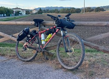 Used Canyon Grand Canyon AL 4.0 2020 2020 Mountainbike — image 1 of 15