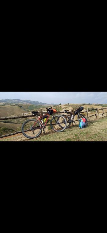 Used Canyon Grand Canyon AL 4.0 2020 2020 Mountainbike — image 15 of 15