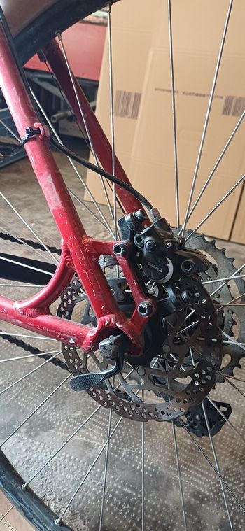 Used Canyon Grand Canyon AL 4.0 2020 2020 Mountainbike — image 7 of 15