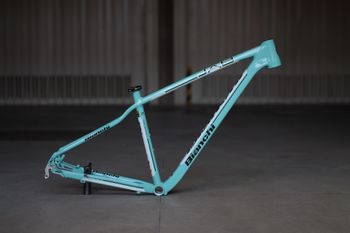Bianchi, Jab 29 Frameset