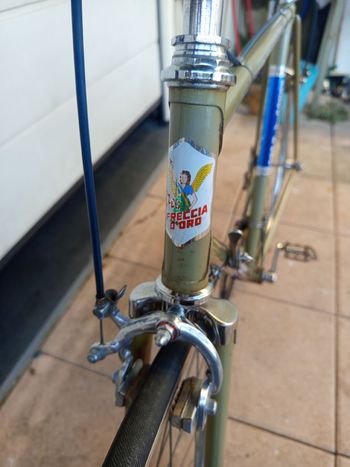 Used freccia d oro Freccia D Oro 1972 Road & Gravel, Orange — image 3 of 9