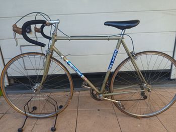 Used freccia d oro Freccia D Oro 1972 Road & Gravel
