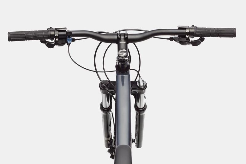 Used Cannondale Trail 6 2022 2022 Mountainbike, Light Gray, 29 — image 5 of 5
