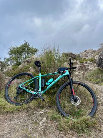 Used Bianchi Nitron 9.3 XT/SLX 2023 2023 Mountainbike, Grün, 29 — image 4 of 7