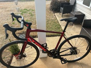 Trek, Domane AL 2 Gen 4 2025