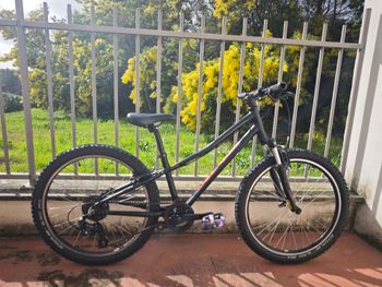Specialized, Hotrock 24 2020
