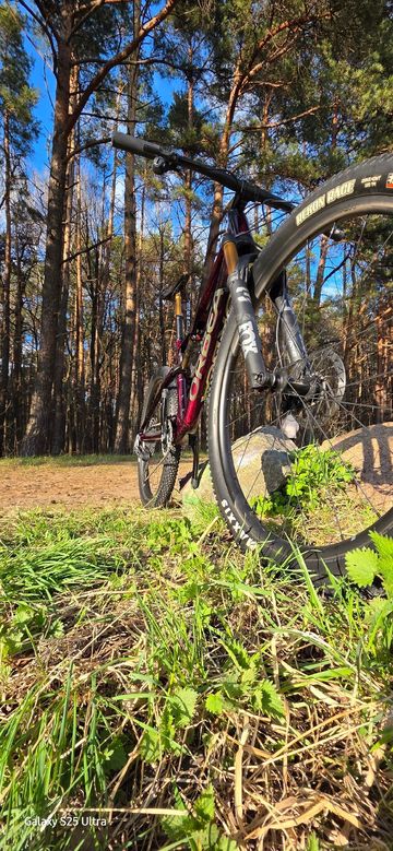 Tweedehands Orbea OIZ M-LTD 2024 2024 Mountainbike — afbeelding 9 van 16