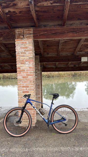 Used Trek Procaliber 9.5 2026 2026 Mountainbike, Purple, 29 — image 3 of 3
