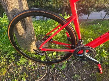 Used BMC Roadmachine SEVEN 2023 2023 Road & Gravel, Orange — image 2 of 4