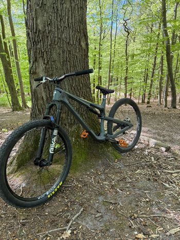 Nukeproof, Reactor Single Speed / Fixed Gear