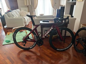 Trek, Madone SL 6 Gen 7 2024