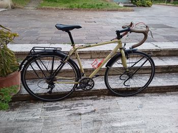 Cinelli Bootleg, Cinelli Bootleg 2019