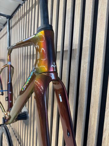 Used Wilier Filante Frameset 2026 Road & Gravel, Orange — image 8 of 8