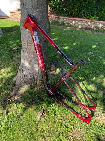 Lee Cougan, Lee Cougan Custom Frameset