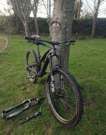 Used Specialized Men's Stumpjumper Expert 29 2019 2019 Mountainbike — image 2 of 12