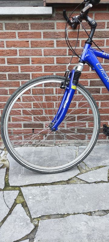 Diamond Custom Shimano Tourney 2008 Road & Gravel d'occasion — image 7 sur 7