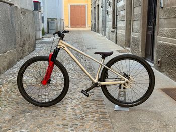 specialized p4, Specialized p4 Custom Other