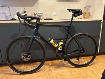 Lapierre, Pulsium 5.0 2025