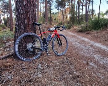 Trek, Checkpoint SL 5 AXS Gen 3 2026