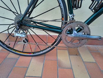 Used Grandis Overmax Carbon 1998 Road & Gravel, Green — image 4 of 9