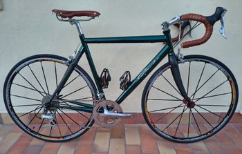 Used Grandis Overmax Carbon 1998 Road & Gravel