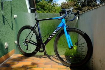 Canyon, Ultimate CF SL 8.0 2020