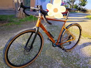Cannondale, Topstone Apex 1 2025