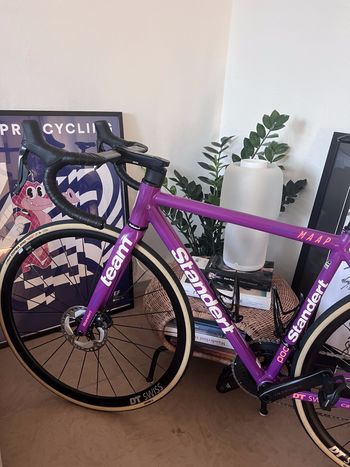 Used Standert Kreissäge RS | Frame | Team Edition MY24 2024 Road & Gravel, Violett — image 4 of 6