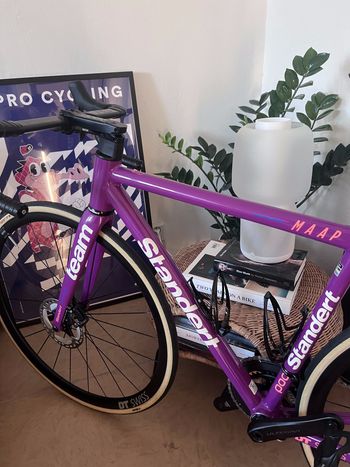 Used Standert Kreissäge RS | Frame | Team Edition MY24 2024 Road & Gravel, Violett — image 5 of 6
