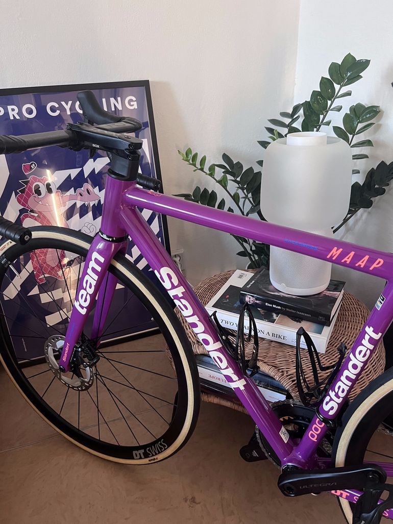 Used Standert Kreissäge RS | Frame | Team Edition MY24 2024 Road & Gravel, Violett — image 5 of 6